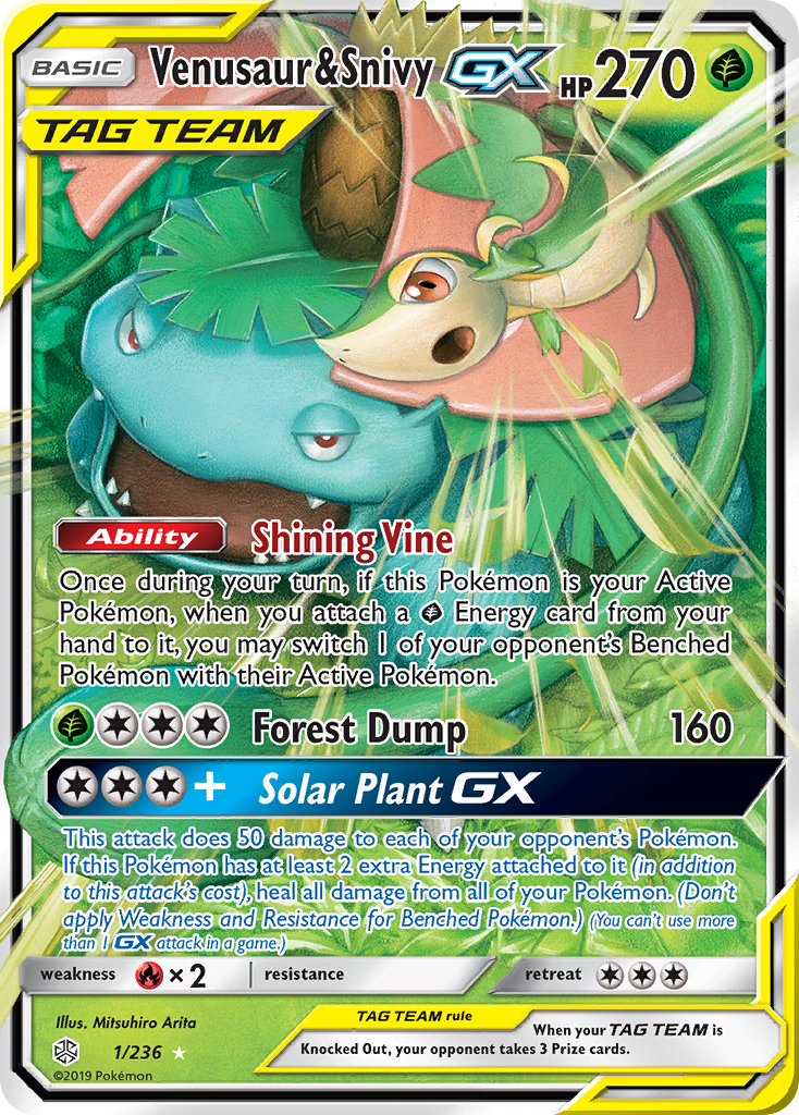 Venusaur & Snivy-GX